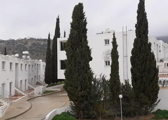 Akamandos 76 * Pegeia